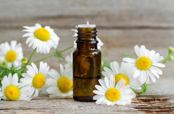 Benefits of chamomile essential oil for skin