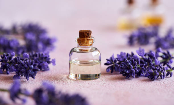 Benefits of lavender essential oil for sore muscles