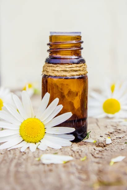 Chamomile oil for itchy scalp