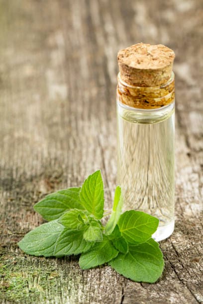 Peppermint oil for itchy scalp