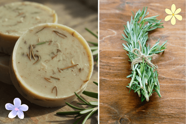 homemade rosemary shampoo bar recipe